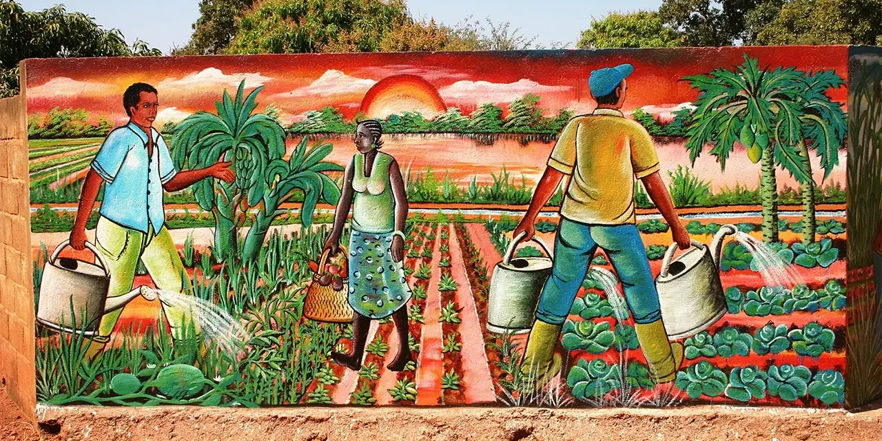 Un point sur la situation au Burkina Faso : le cas de Yaongo, petit village rural